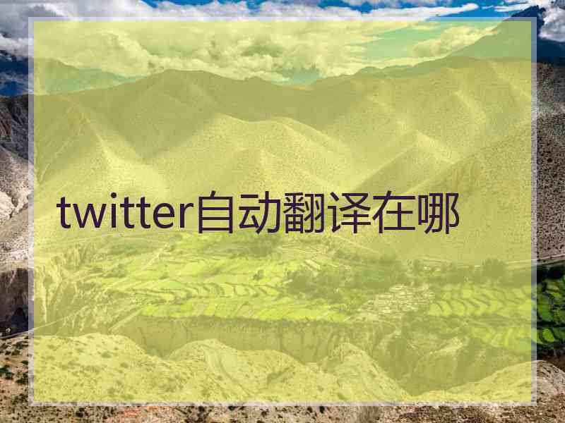 twitter自动翻译在哪