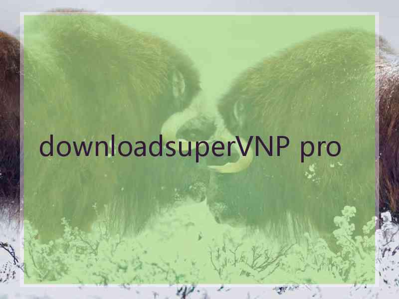 downloadsuperVNP pro