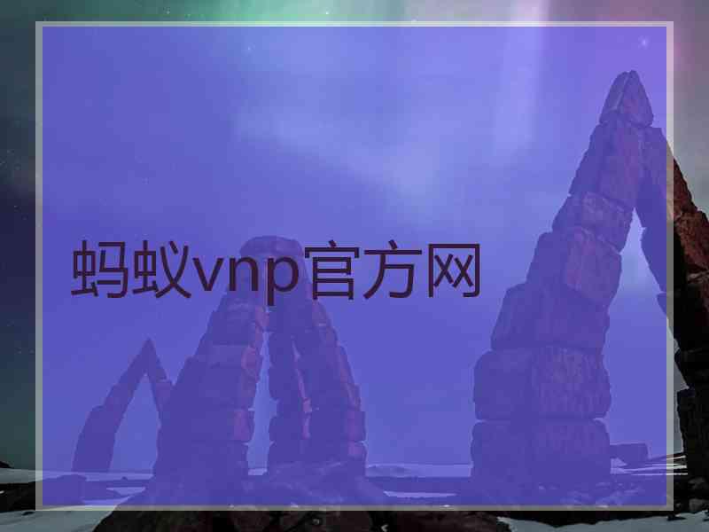 蚂蚁vnp官方网