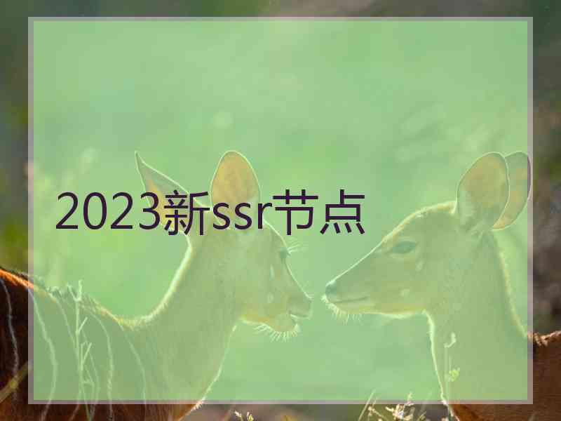 2023新ssr节点