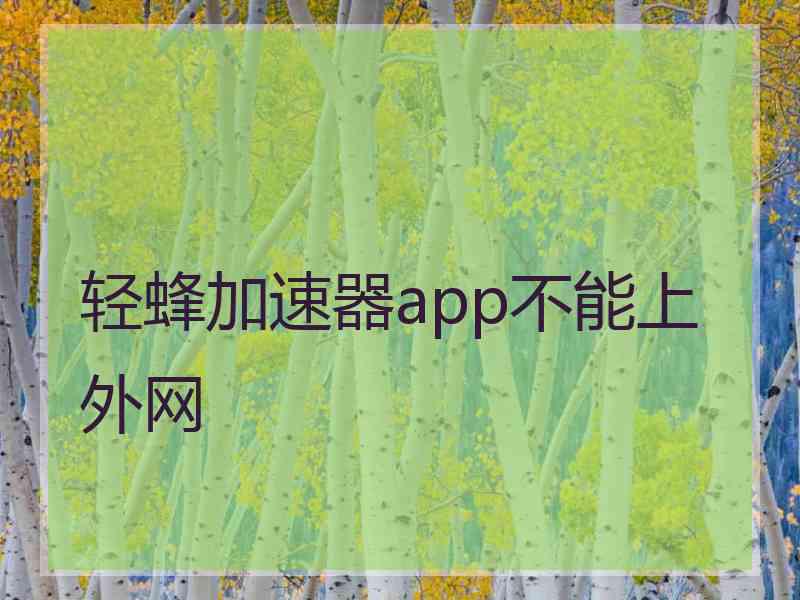 轻蜂加速器app不能上外网