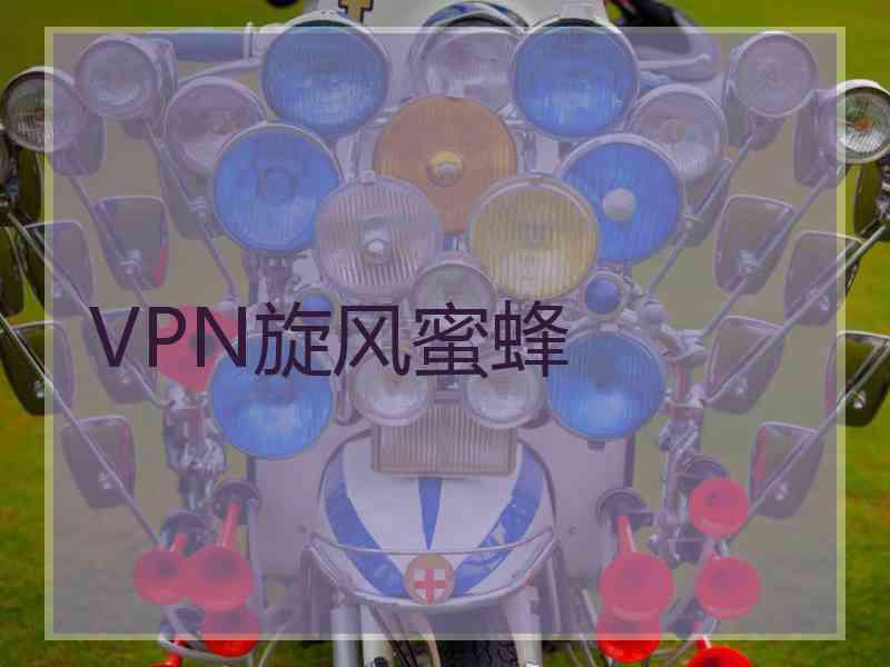 VPN旋风蜜蜂