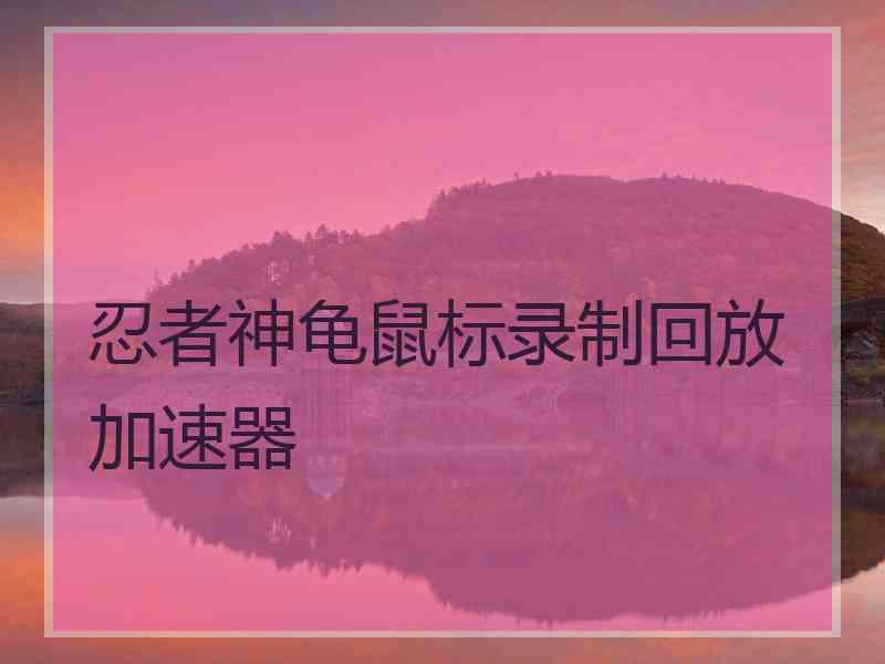 忍者神龟鼠标录制回放加速器