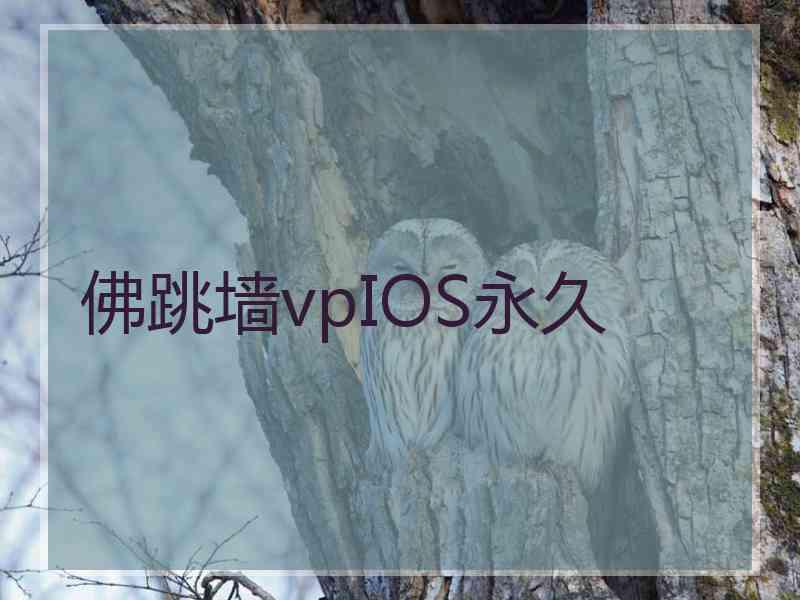 佛跳墙vpIOS永久