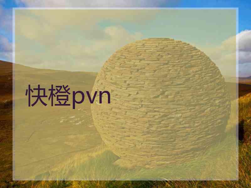 快橙pvn