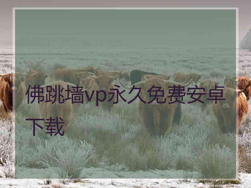 佛跳墙vp永久免费安卓下载