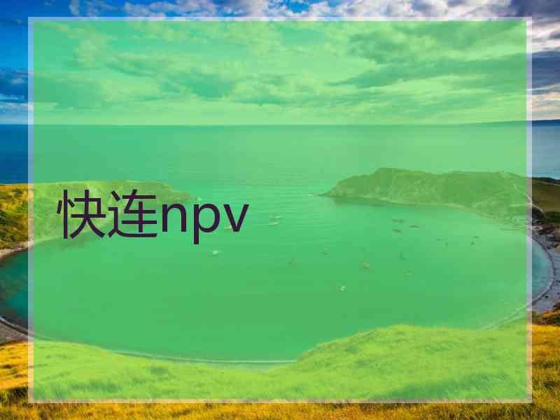 快连npv