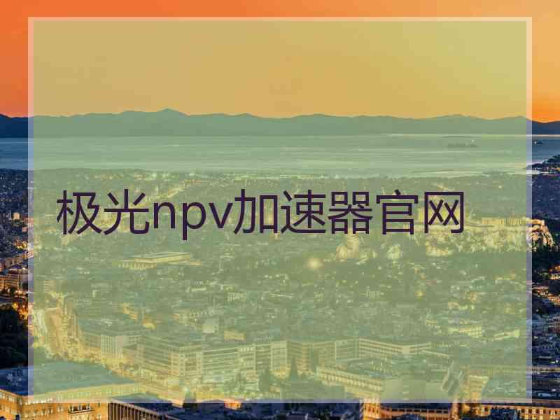 极光npv加速器官网