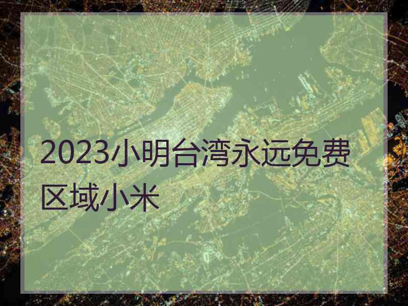 2023小明台湾永远免费区域小米