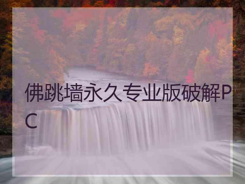 佛跳墙永久专业版破解PC