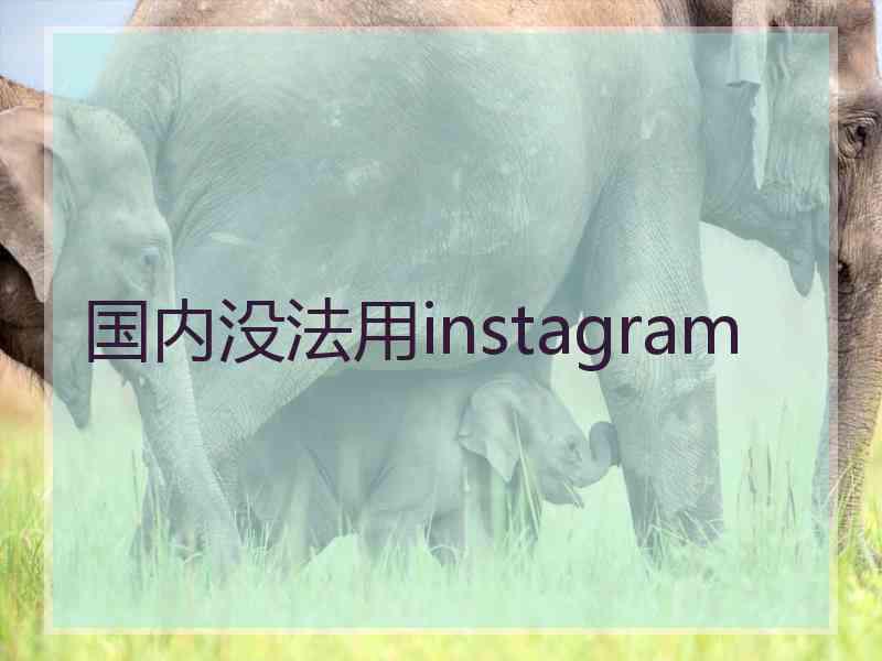 国内没法用instagram