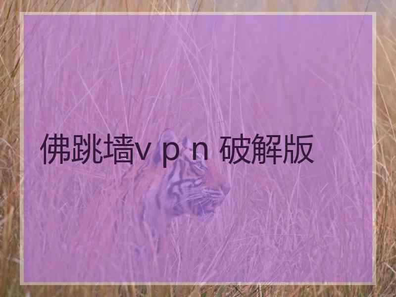 佛跳墙v p n 破解版