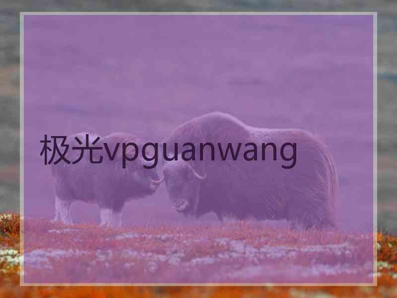 极光vpguanwang