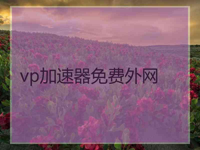 vp加速器免费外网