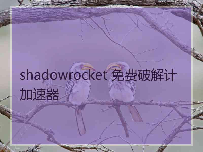 shadowrocket 免费破解计加速器