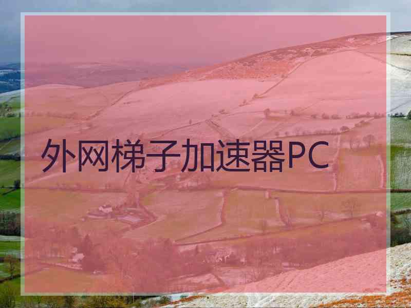 外网梯子加速器PC