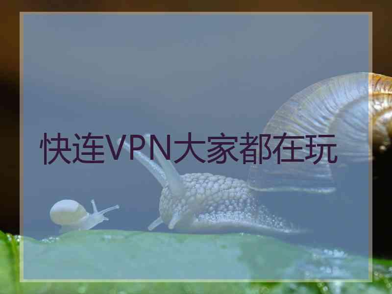 快连VPN大家都在玩