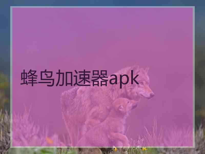 蜂鸟加速器apk