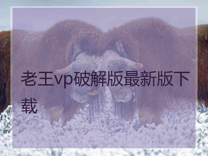 老王vp破解版最新版下载