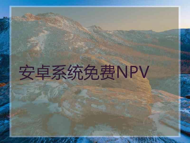 安卓系统免费NPV