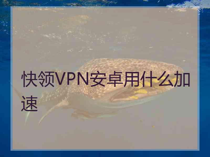 快领VPN安卓用什么加速