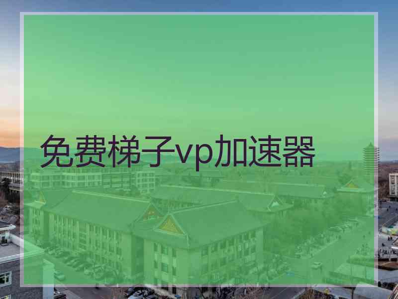 免费梯子vp加速器