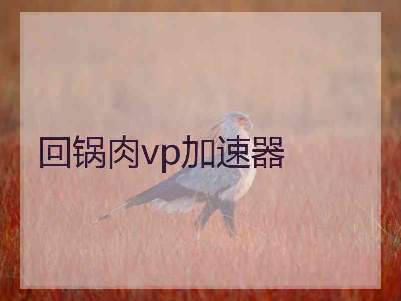 回锅肉vp加速器