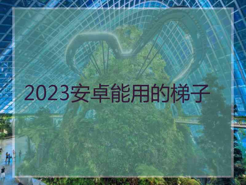 2023安卓能用的梯子