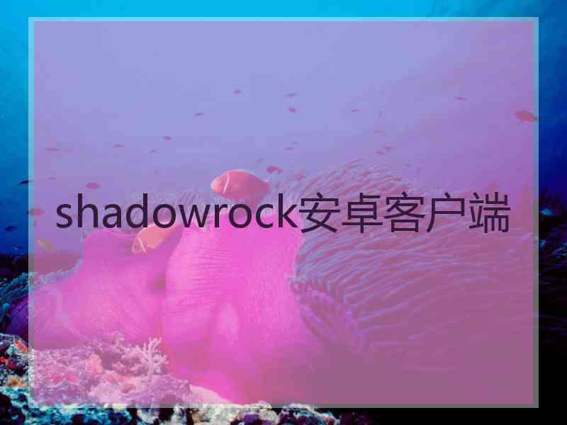 shadowrock安卓客户端