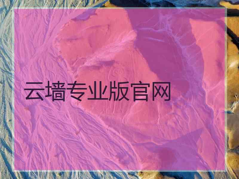 云墙专业版官网