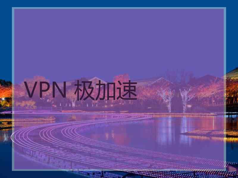 VPN 极加速