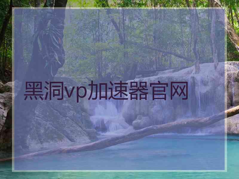 黑洞vp加速器官网