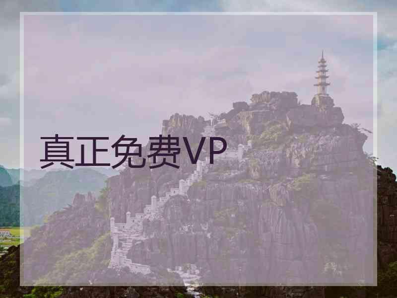 真正免费VP