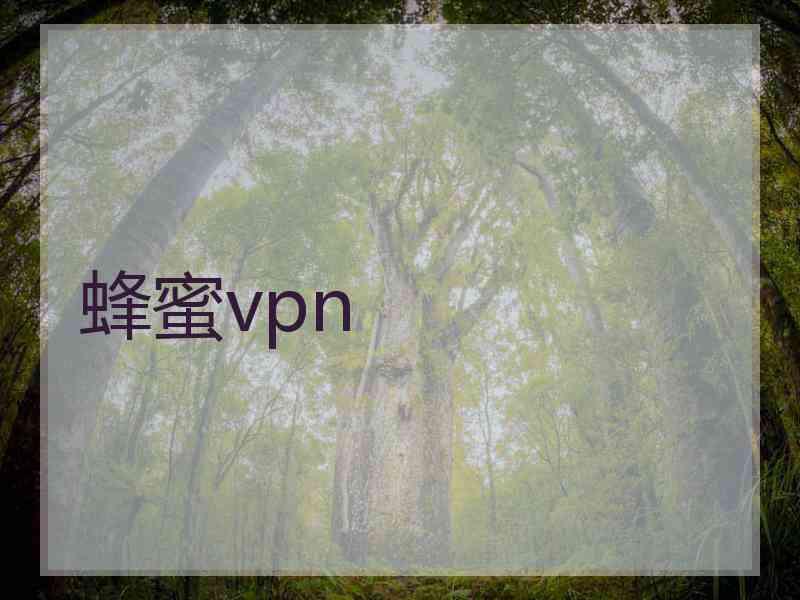 蜂蜜vpn