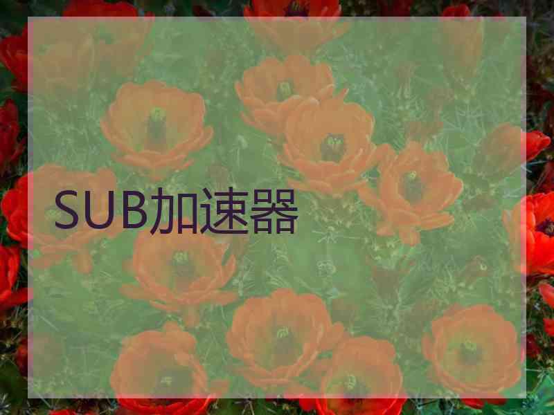 SUB加速器