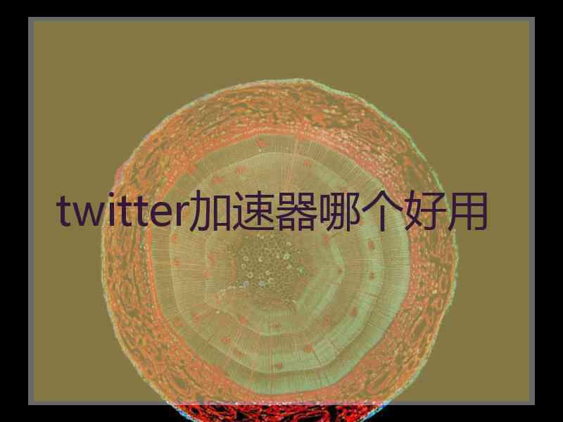 twitter加速器哪个好用