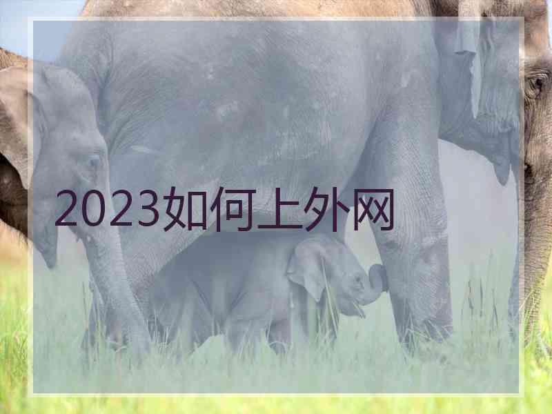 2023如何上外网