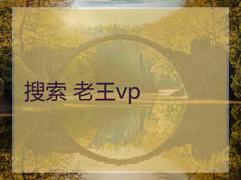 搜索 老王vp