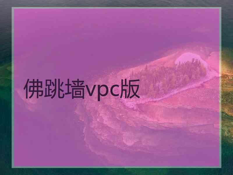 佛跳墙vpc版