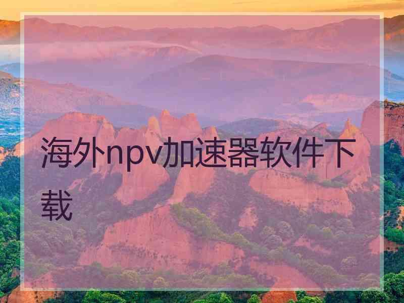 海外npv加速器软件下载