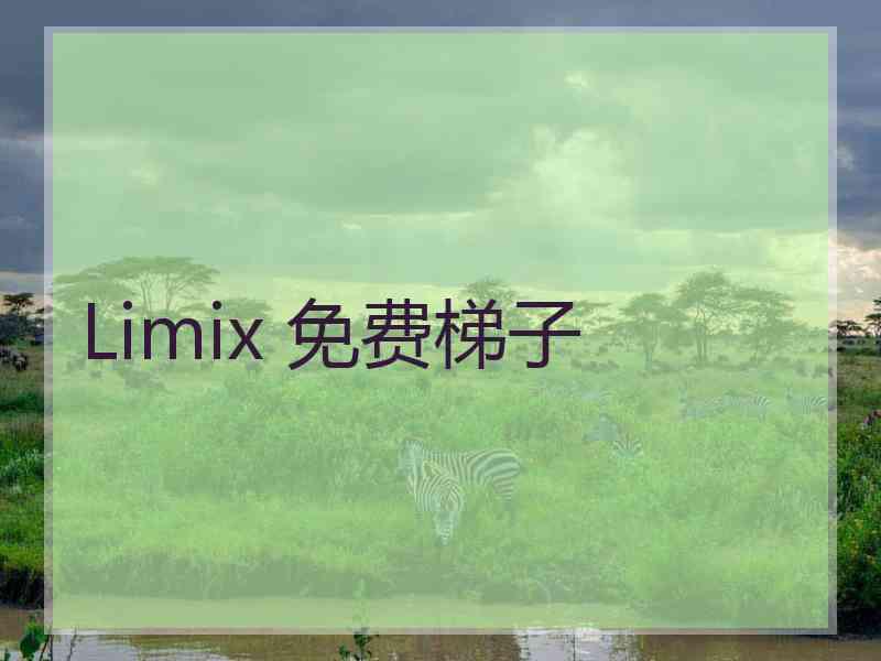 Limix 免费梯子