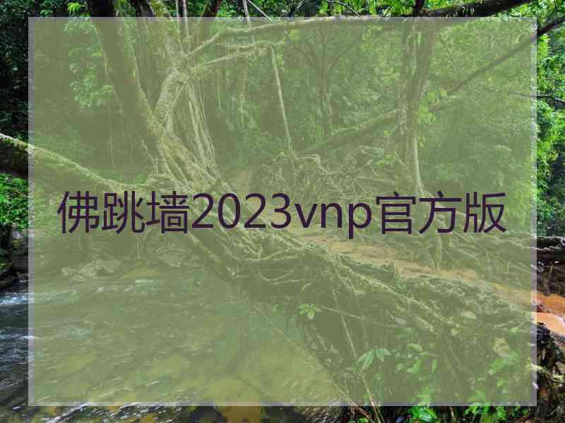 佛跳墙2023vnp官方版