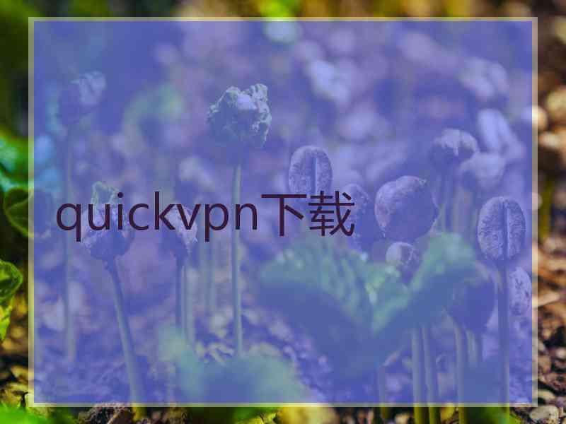 quickvpn下载