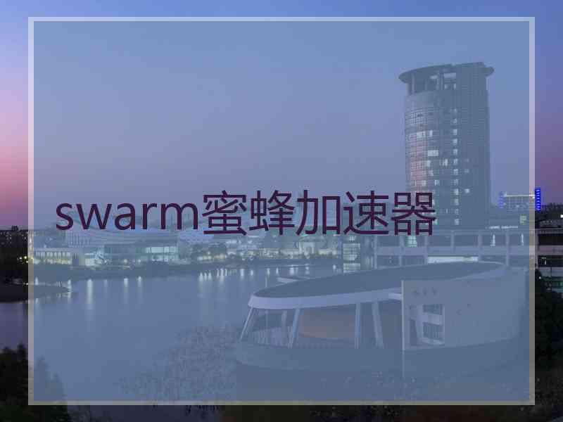 swarm蜜蜂加速器