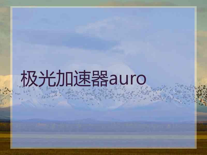 极光加速器auro