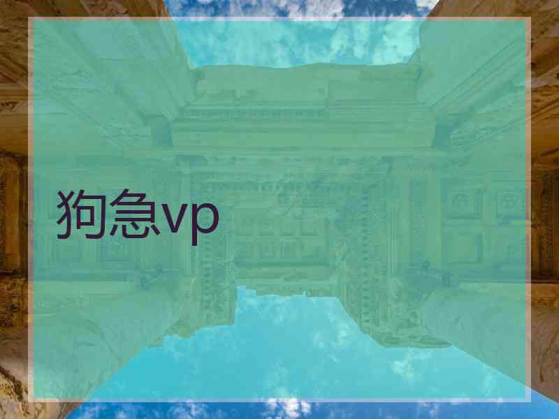 狗急vp