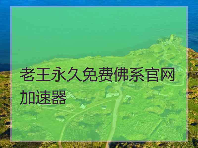 老王永久免费佛系官网加速器