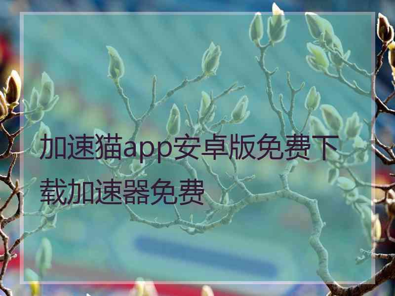 加速猫app安卓版免费下载加速器免费