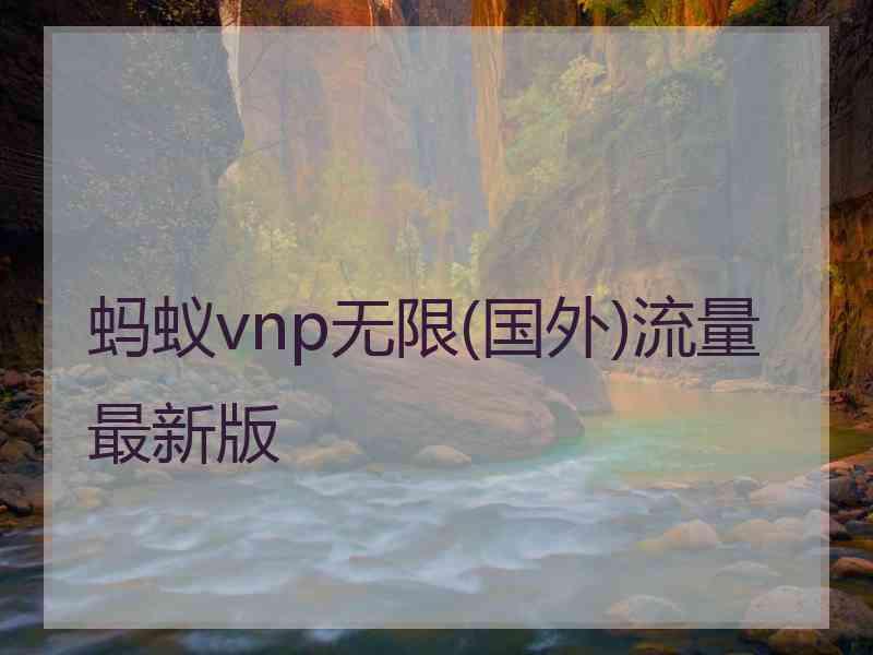 蚂蚁vnp无限(国外)流量最新版