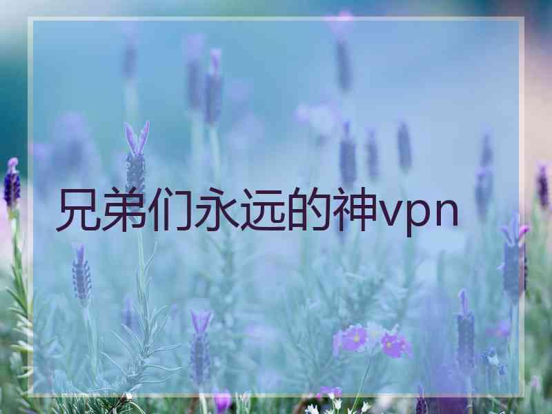 兄弟们永远的神vpn